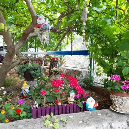 Stonehouse With Swimming Pool Villa Anita Donji Okrug  Exterior foto