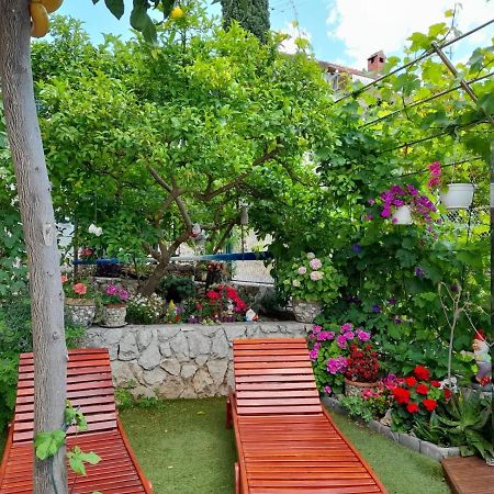 Stonehouse With Swimming Pool Villa Anita Donji Okrug  Exterior foto