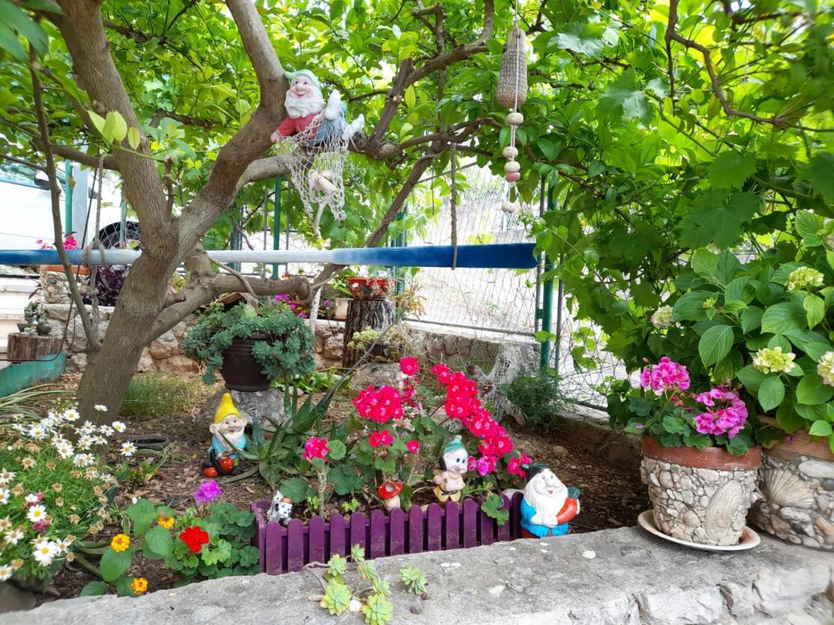 Stonehouse With Swimming Pool Villa Anita Donji Okrug  Exterior foto