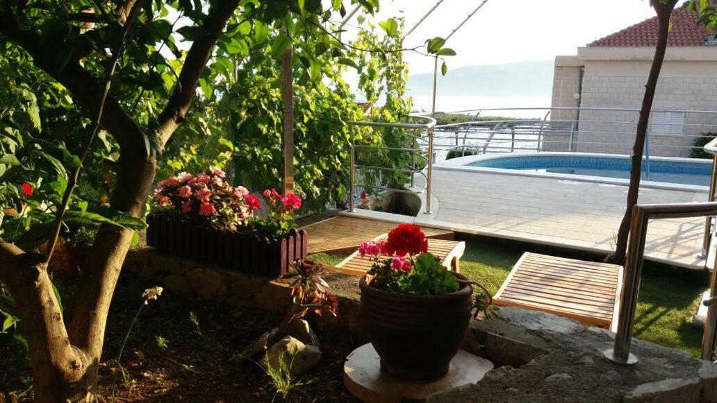 Stonehouse With Swimming Pool Villa Anita Donji Okrug  Exterior foto
